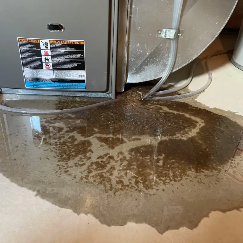 Appliance Leak Cleanup in Norland, FL